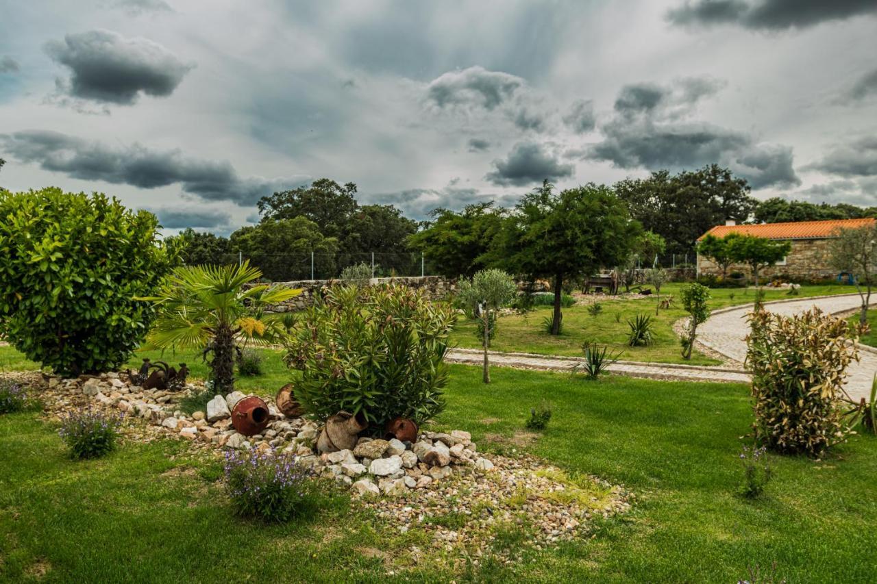 ホテル Casas Campo Cimo Da Quinta ミランダ・ド・ドウロ エクステリア 写真